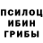 Псилоцибиновые грибы Psilocybine cubensis DarishaStar