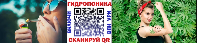 Бошки Шишки план  сколько стоит  Сасово 